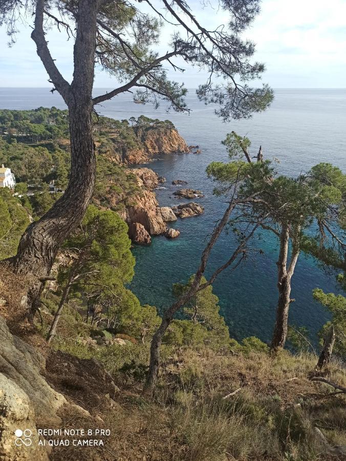 Apartament Domus Aurea Palamós Zewnętrze zdjęcie